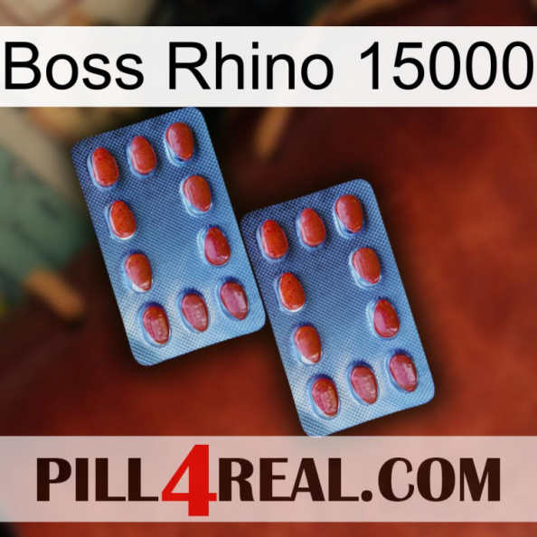 Boss Rhino 15000 05.jpg